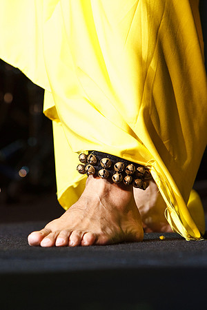 Gurdas Mann 2010-4341